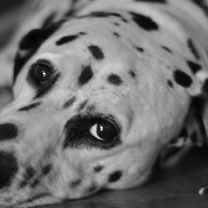 Meet your Posher, Kathleen